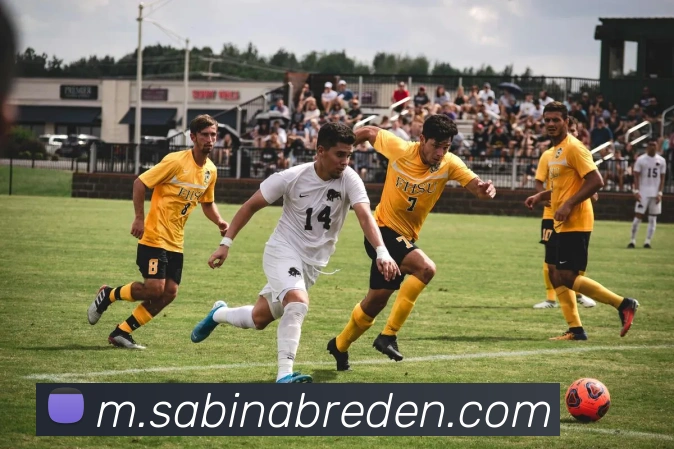平台使命图